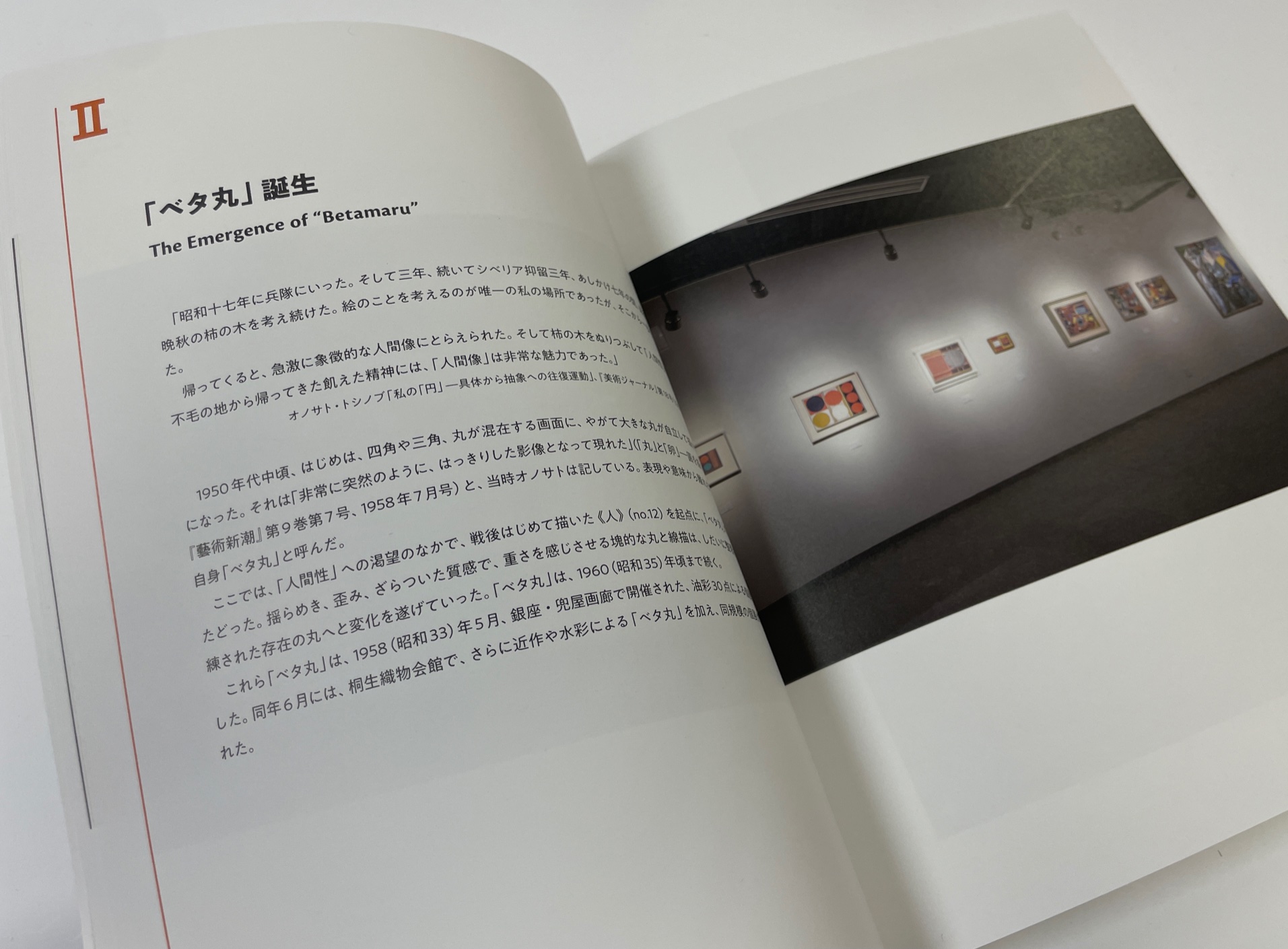 
『生誕110年
　みんなのオノサトトシノブ展』
研究報告書　刊行いたしました。
